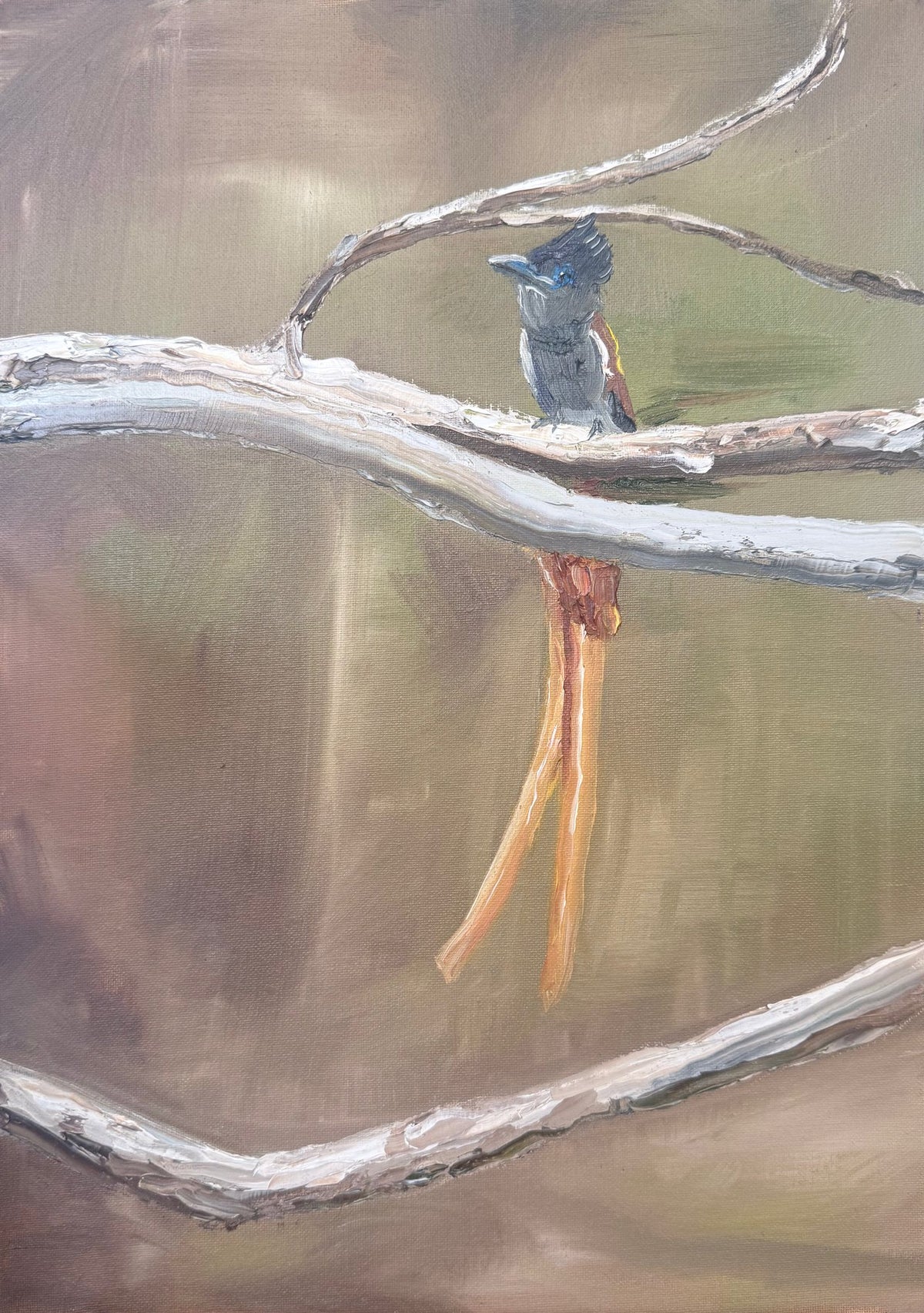 Painting by Linki Raubenheimer of a flycatcher with a long orange tail perched on pale branches
