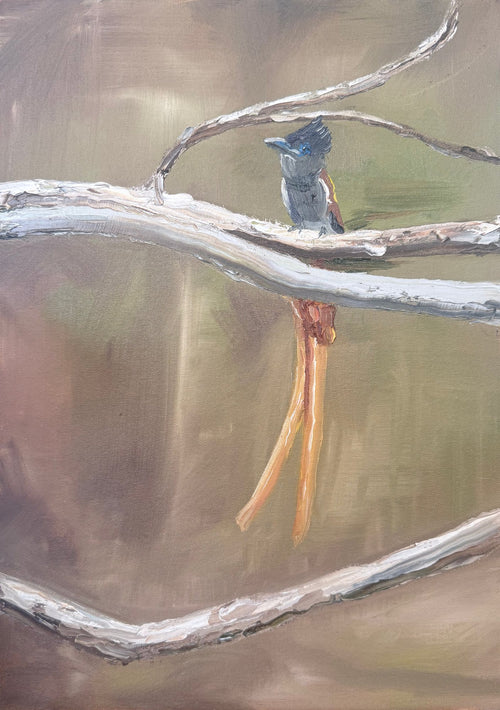 Painting by Linki Raubenheimer of a flycatcher with a long orange tail perched on pale branches